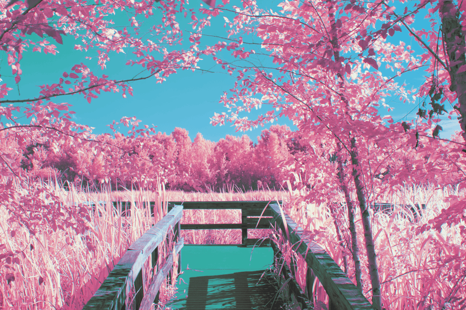 Gece Görüş Sistemleri Termal Kamera Teknolojisi